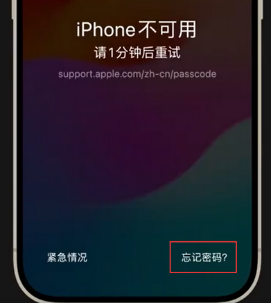 兰洋镇苹果手机密码维修分享iPhone忘记了刚设置的密码 