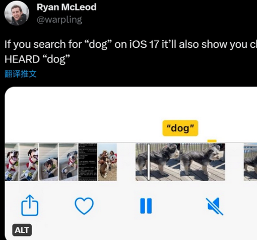 兰洋镇apple维修店分享通过关键字搜索iPhone视频内声音 