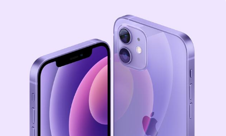 兰洋镇苹果手机维修分享紫色版iPhone 12有什么技术亮点 