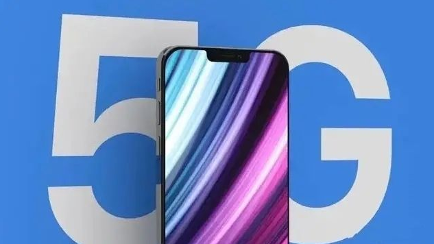 兰洋镇苹果手机维修分享iPhone12 pro怎么显示5G 
